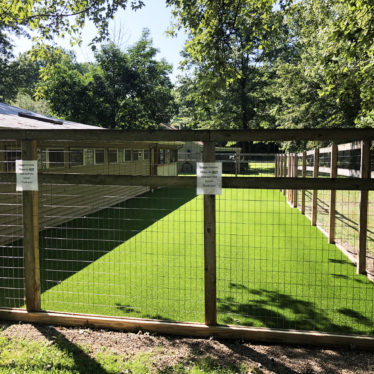 APPLICATIONS - PETS (5)